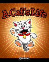 Download 'A Cats Life (176x220)' to your phone